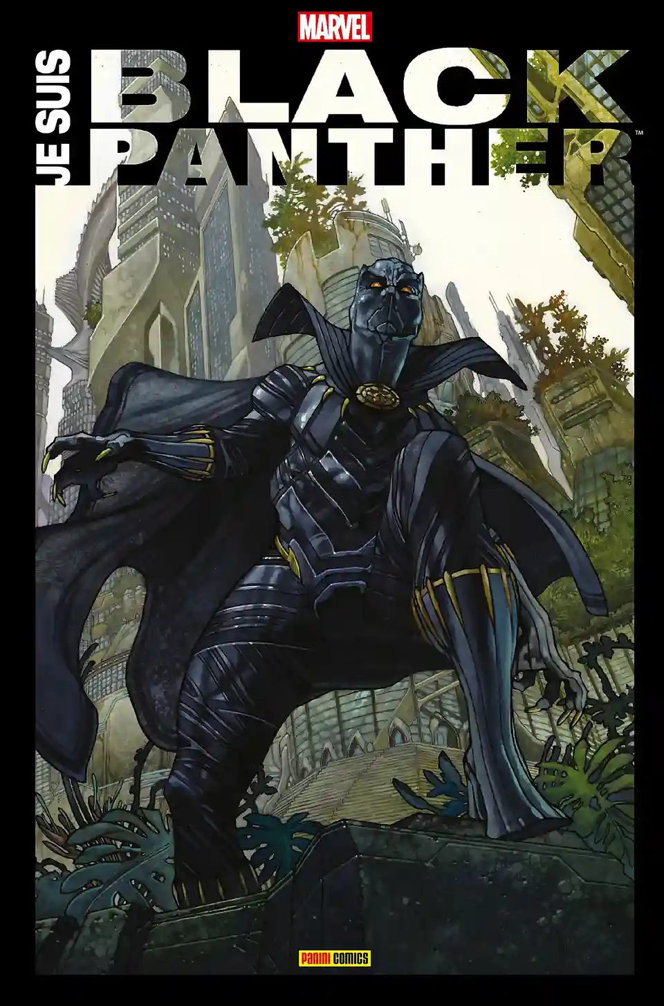 Je suis Black Panther
